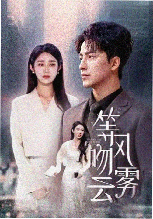 成年影院剧集海报：深夜电台伏笔追踪